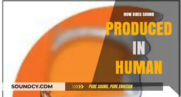 Understanding the Science Behind Human Sound Production: A Comprehensive Guide
