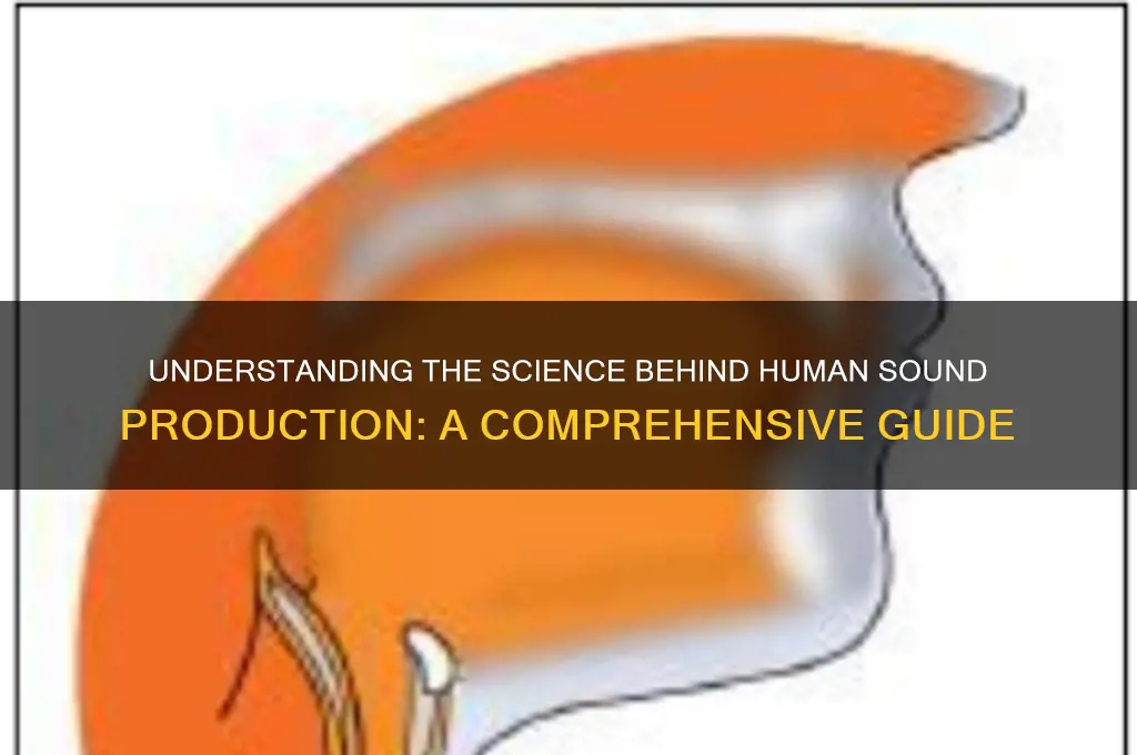 how does sound produced in human