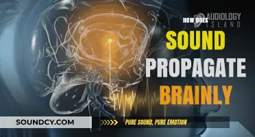 How Sound Waves Travel and Impact the Brain: A Comprehensive Guide