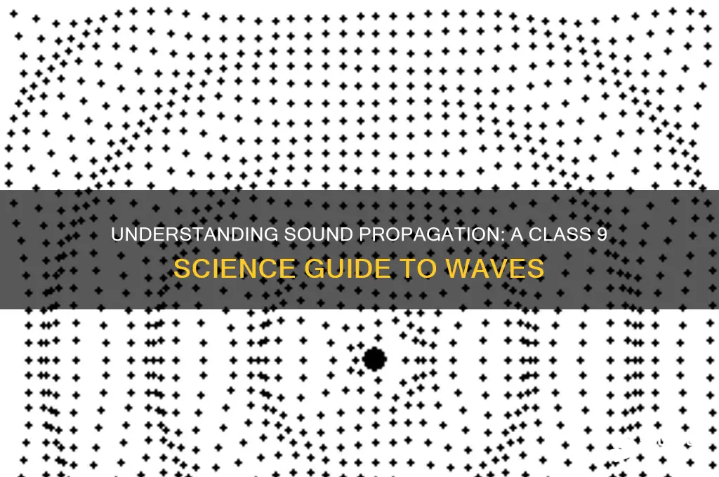 how does sound propagate class 9