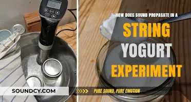 Exploring Sound Propagation in String Yogurt: A Fascinating Science Experiment