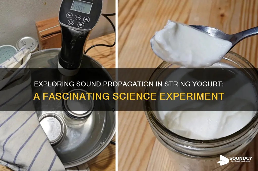 how does sound propagate in a string yogurt experiment