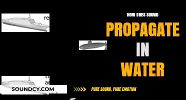 Unraveling the Mysteries of Sound Propagation in Aquatic Environments
