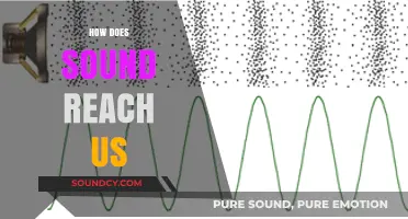 How Sound Waves Travel to Our Ears: The Science Explained