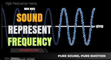Understanding Sound: How Frequency Shapes the Waves We Hear