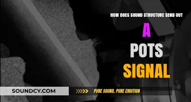 How Sound Structure Transmits PoTS Signals: A Comprehensive Guide