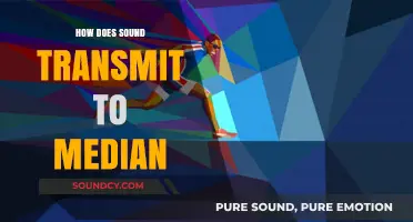 Understanding Sound Transmission: How It Reaches the Median Plane