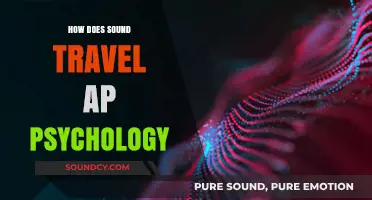 Understanding Sound Travel: Insights from AP Psychology and Perception