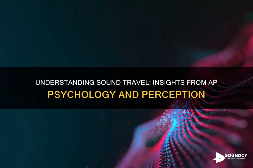 how does sound travel ap psychology
