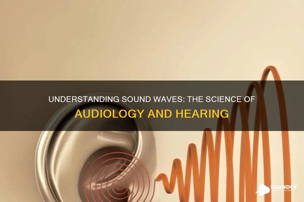 how does sound travel audiology