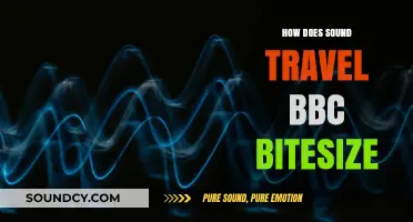How Sound Waves Travel: BBC Bitesize Explains the Science