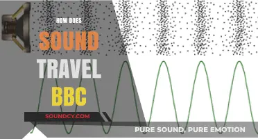 How Sound Waves Travel: BBC Explains the Science Behind It