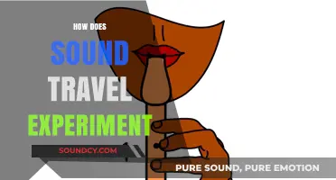 Exploring Sound Waves: A Simple Experiment to Understand How Sound Travels