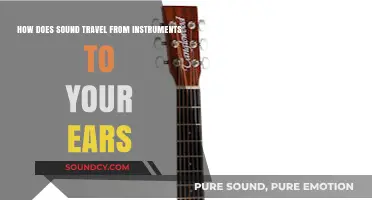 From Stage to Ear: The Journey of Sound Through Instruments and Air