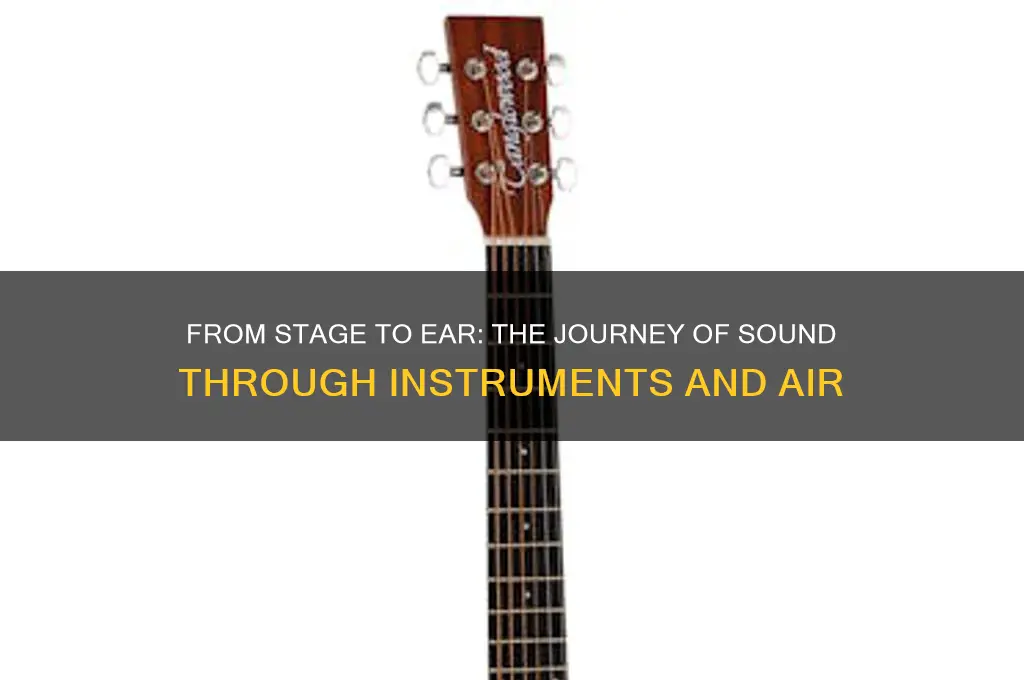 how does sound travel from instruments to your ears