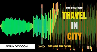 Urban Echoes: Understanding How Sound Navigates City Environments