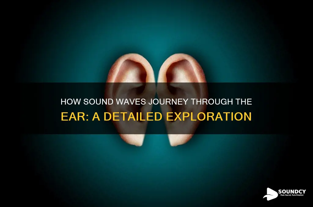 how does sound travel in ear