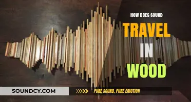 Understanding Sound Wave Propagation Through Wooden Materials
