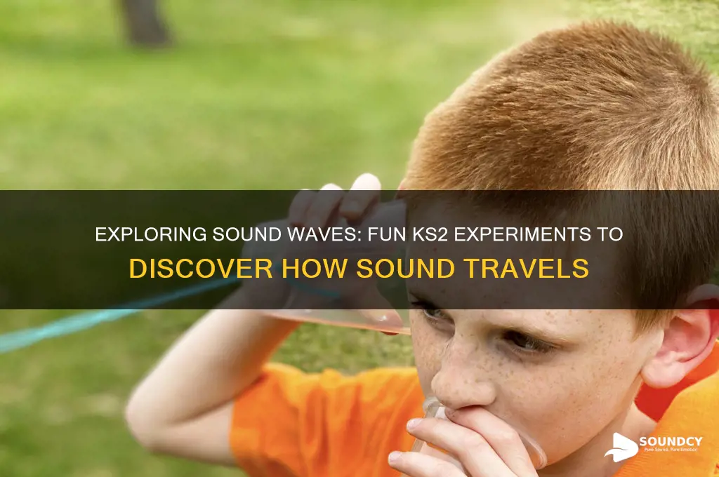 how does sound travel ks2 experiments