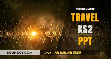 Exploring Sound Waves: How Sound Travels KS2 PowerPoint Guide