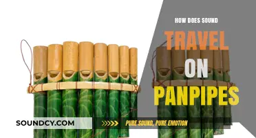 Unveiling the Mystical Journey of Sound Through Panpipes: A Scientific Exploration