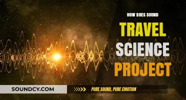 Exploring Sound Waves: A Science Project on How Sound Travels