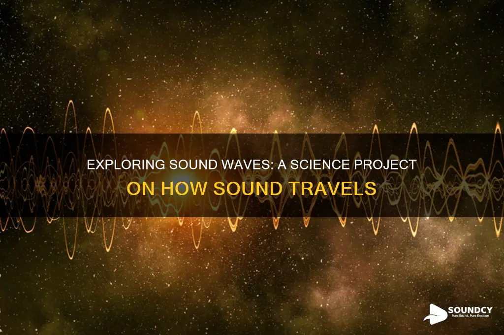 how does sound travel science project