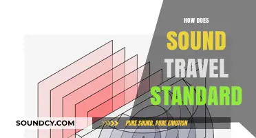 Understanding Sound Travel: The Science Behind Standard Acoustic Propagation