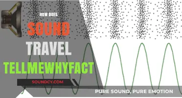 How Sound Waves Travel: Unveiling the Science Behind Acoustic Phenomena