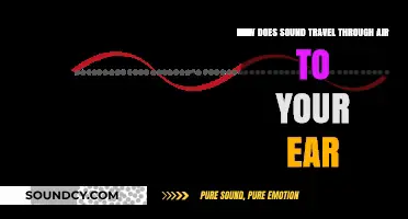 How Sound Waves Journey Through Air to Reach Your Ears