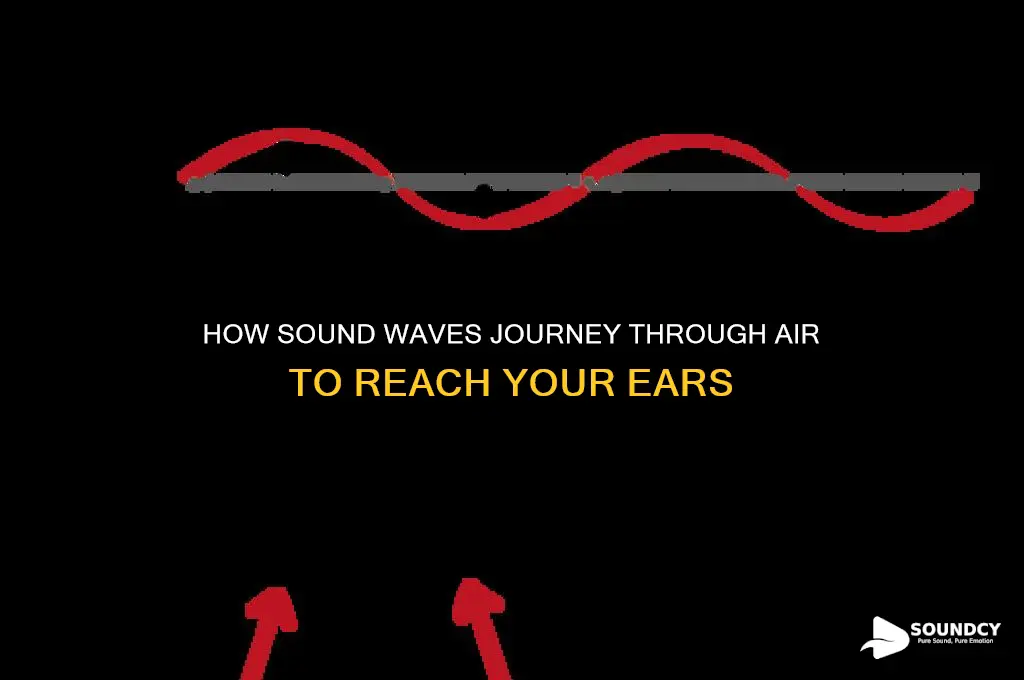 how does sound travel through air to your ear