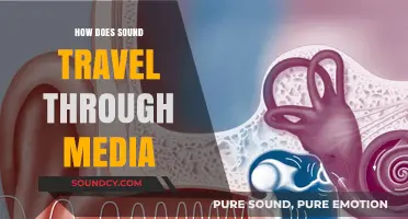 Exploring Sound Waves: How Media Facilitates Acoustic Transmission