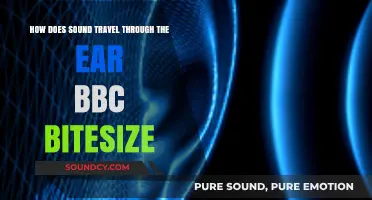 How Sound Waves Journey Through the Ear: BBC Bitesize Explained