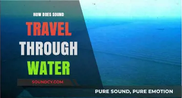 Sound Waves Underwater: How Does It Work?