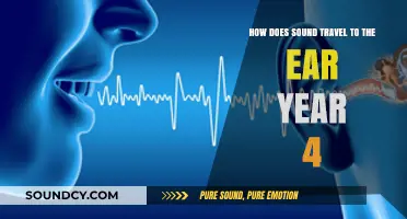 How Sound Waves Journey to Your Ear: A Year 4 Guide