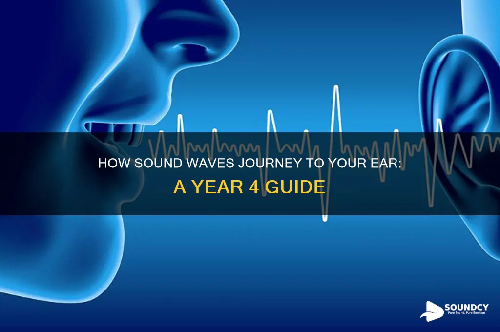 how does sound travel to the ear year 4