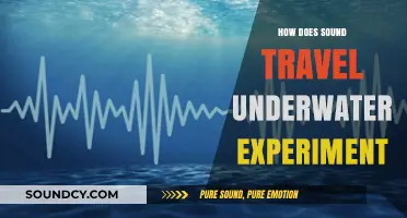 Exploring Underwater Sound Waves: A Simple Experiment to Try