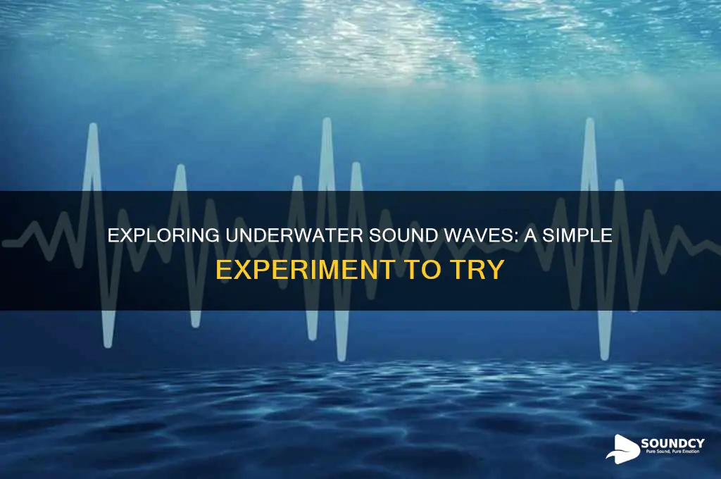 how does sound travel underwater experiment