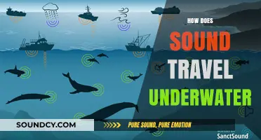 Unveiling the Mysteries of Underwater Sound Waves and Propagation