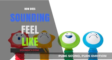 Exploring the Sensations: What Does Sounding Really Feel Like?