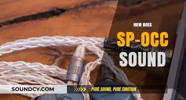 Exploring the Unique Audio Experience of SP-OCC Sound Technology