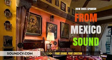 Exploring the Unique Rhythm and Accent of Mexican Spanish