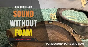 Exploring Speaker Sound Quality: The Impact of Removing Foam Covers
