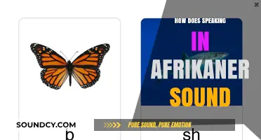 Exploring the Unique Sounds and Rhythms of Speaking in Afrikaans