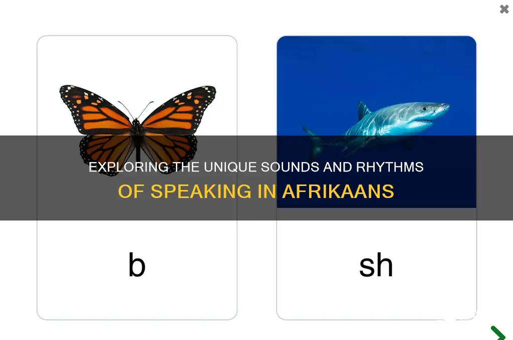how does speaking in afrikaner sound