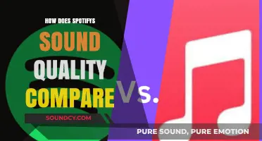 Spotify's Sound Quality: How It Stacks Up to Competitors