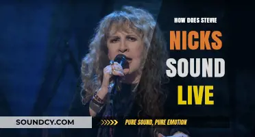 Stevie Nicks Live: Captivating Vocals, Timeless Magic, and Unforgettable Performances