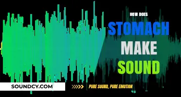 Why Your Stomach Growls: Understanding the Science Behind Stomach Sounds