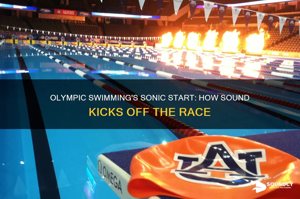 how does swimming at the olympics commence with sound