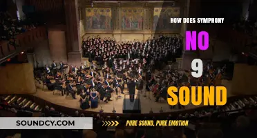 Exploring Beethoven's Symphony No. 9: A Majestic Musical Masterpiece Unveiled